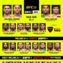 UFC 318 프릴림 시청자수(시청률) 이미지