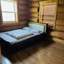 숲속애 애플트리 이미지