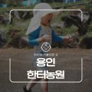 와야농장 | 서울 근교 가족바베큐장 용인 한터농원(한터조랑말농장), 아이랑 즐거운 주말 체험 후기