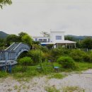 김제강아지 이미지