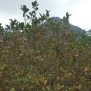 덕이네농장 이미지