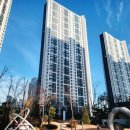 배곧해솔초등학교 이미지