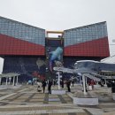 시영스타 | 오사카여행 가이유칸 해수관 수족관 관람 후기