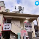 대월태권도장 이미지