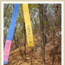 [2020년 2월22일(토)] 황룡산~고봉산 이어걷기. 이미지
