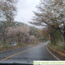 놀러와 당구클럽 이미지