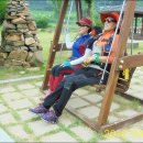 보리수마을 이미지