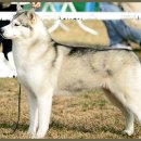 여주-0909 이미지