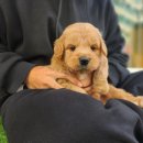 행복할 이유를 찾아드립니다 이미지