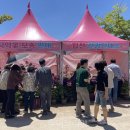 핑크마켓 투어코리아
