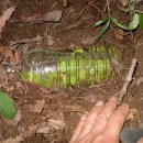 부북파출소 이미지