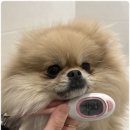 사랑으로유치원 이미지