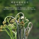 옥룡농장 네이버블로그