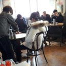 혜화동돈가스극장 이미지