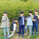 삼학도 중앙공원 이미지