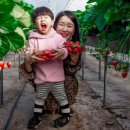 봄이네 농장 이미지