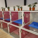 영무파라드호텔1 이미지