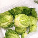 아줌마네야채 | 풀아줌마네 쌈박스농장 후기🥬