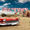 (주)신대영