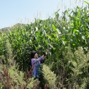 해수농장 이미지