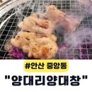 중앙동120 | 안산 중앙동 술집 양대리양대창 솔직 후기