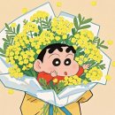 지에스25광양매화 | 2026 제25회 광양매화축제 첫날 방문 후기 매화 개화율🌸