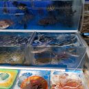 한월횟집 이미지