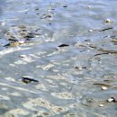 하저어촌체험마을 이미지