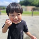 실내초병설유치원 이미지