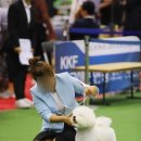 개 키우는 언니 이미지