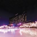 해밀톤수영장(실외) 이미지