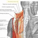 월배제통내과의원 이미지