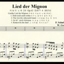 코다(coda)노래연습장 | 미뇽의 노래 (슈베르트, 슈만, 반주법, 비교)