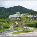 대한민국술테마박물관 Daum카페