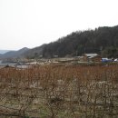 대야농장 이미지