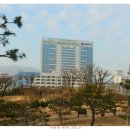 창원 가음정동 고분군 네이버블로그