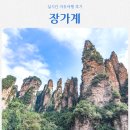 주식회사 지씨화랑 | 중국 장가계 여행, 패키지? 자유여행? 효도? 불효? (+장가계 날씨)