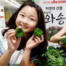 웰빙빅마켓 - 관악구 양녕로 49 | 웰빙빅마켓