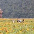 산소카폐 청송정원 (1) 이미지