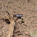 증산초등학교 | [정선여행]겨울/해빙기 민둥산 등산 후기 | 증산초교 주차 및 코스 안내(급경사 vs 완경사)