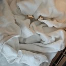 젬스테이 | 부산 여행 가는 뚜벅이들 사직에서 가까운데 깨끗한 숙소 필요해? &lt;젬스테이&gt; 2박 3일 후기