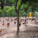 서당골 농장 이미지