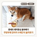 강아지 돼지고기 수제 간식, 콩셰프 돼지등심 꿀꽈배기 급여해봤어요