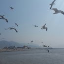 사이판모텔 이미지