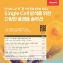 엘씨케이솔루션