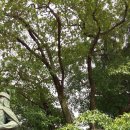 가창초등학교 이미지