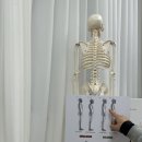 위더스동물병원 | 상동역 필라테스 필라테스쏘울 척추 상승 체형관리 후기