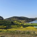 제864차 정기산행 (4월 12일) 청산도 이미지