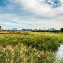 화랑유원지 이미지