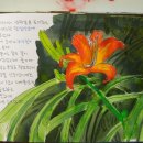 팔달산로 이미지